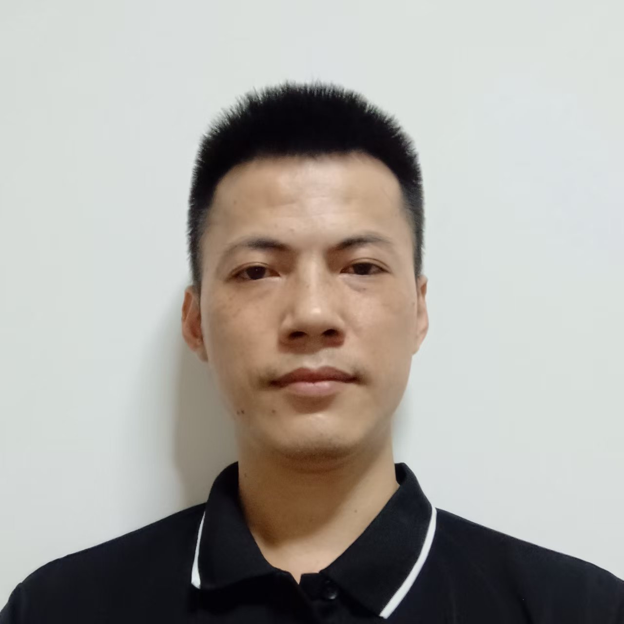 luis chen model car wholesale